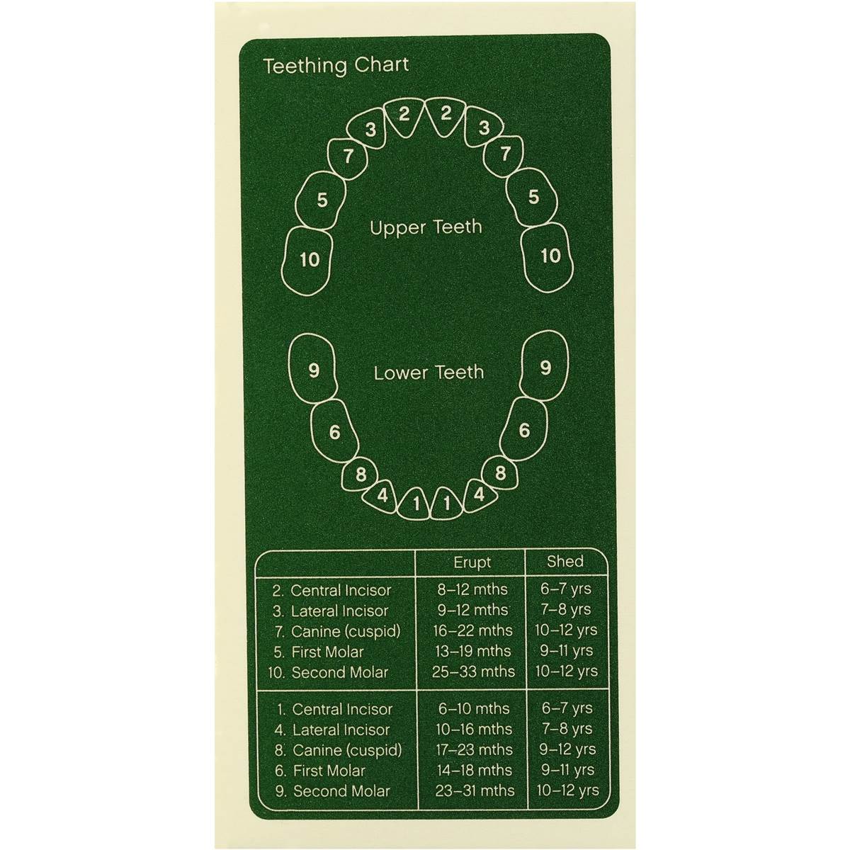 Only Organic Snack Teething Rusks 100g Woolworths