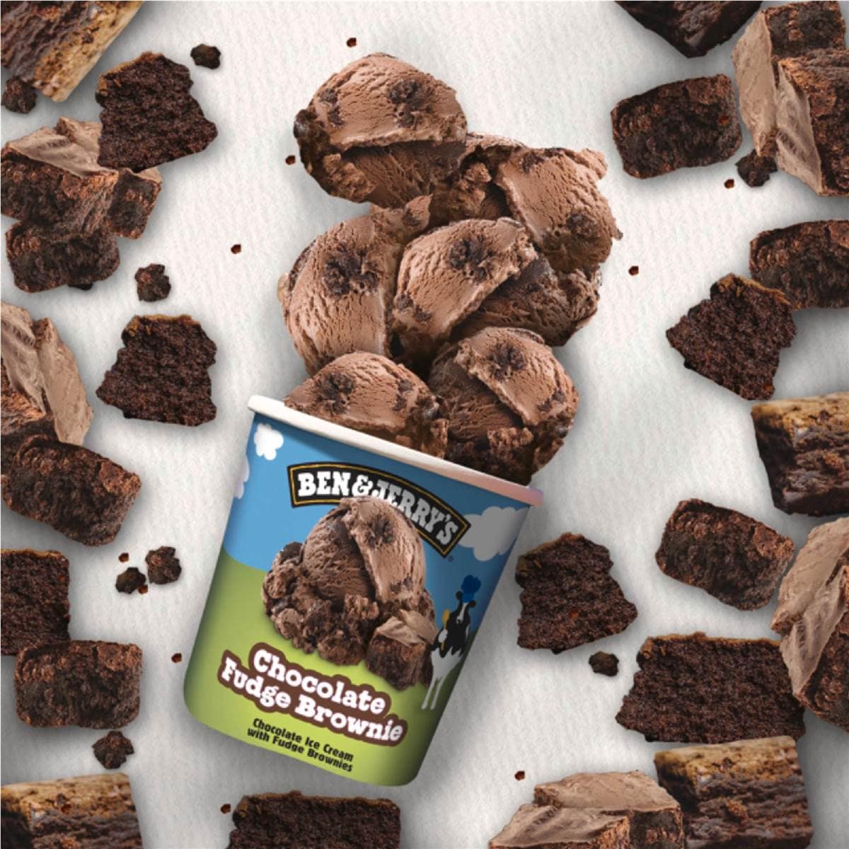 Ben & Jerry's Ice Cream Tub Chocolate Fudge Brownie 458ml Woolworths
