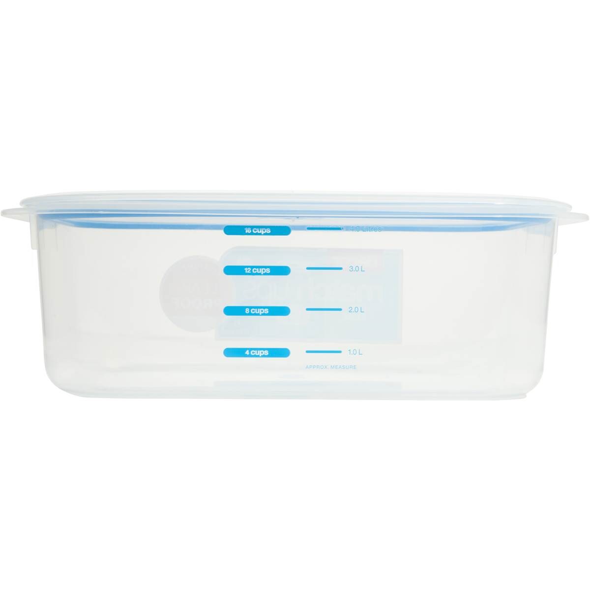 Decor Matchups Storer Oblong 4l Woolworths