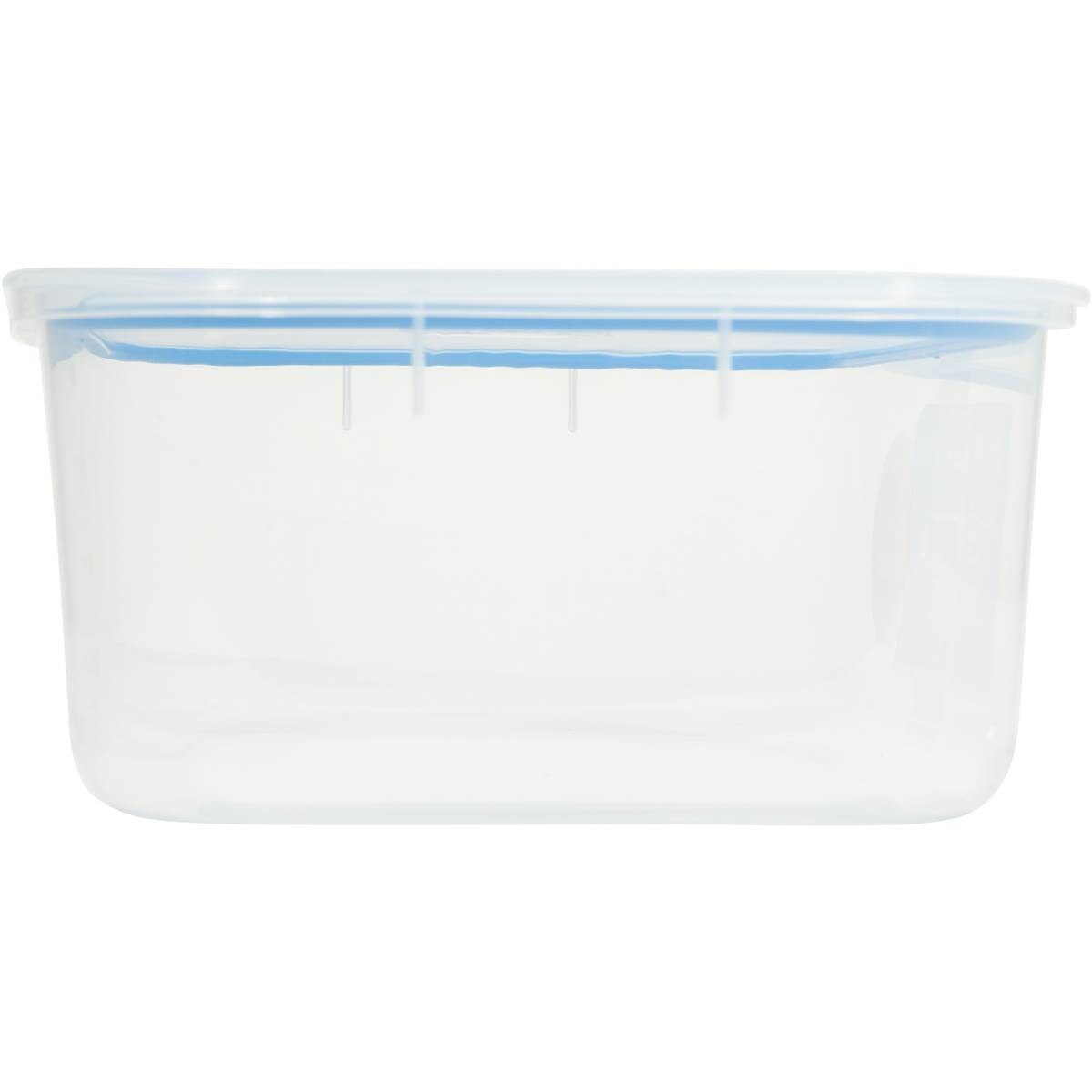 Decor Matchups Storer Oblong 4l Woolworths