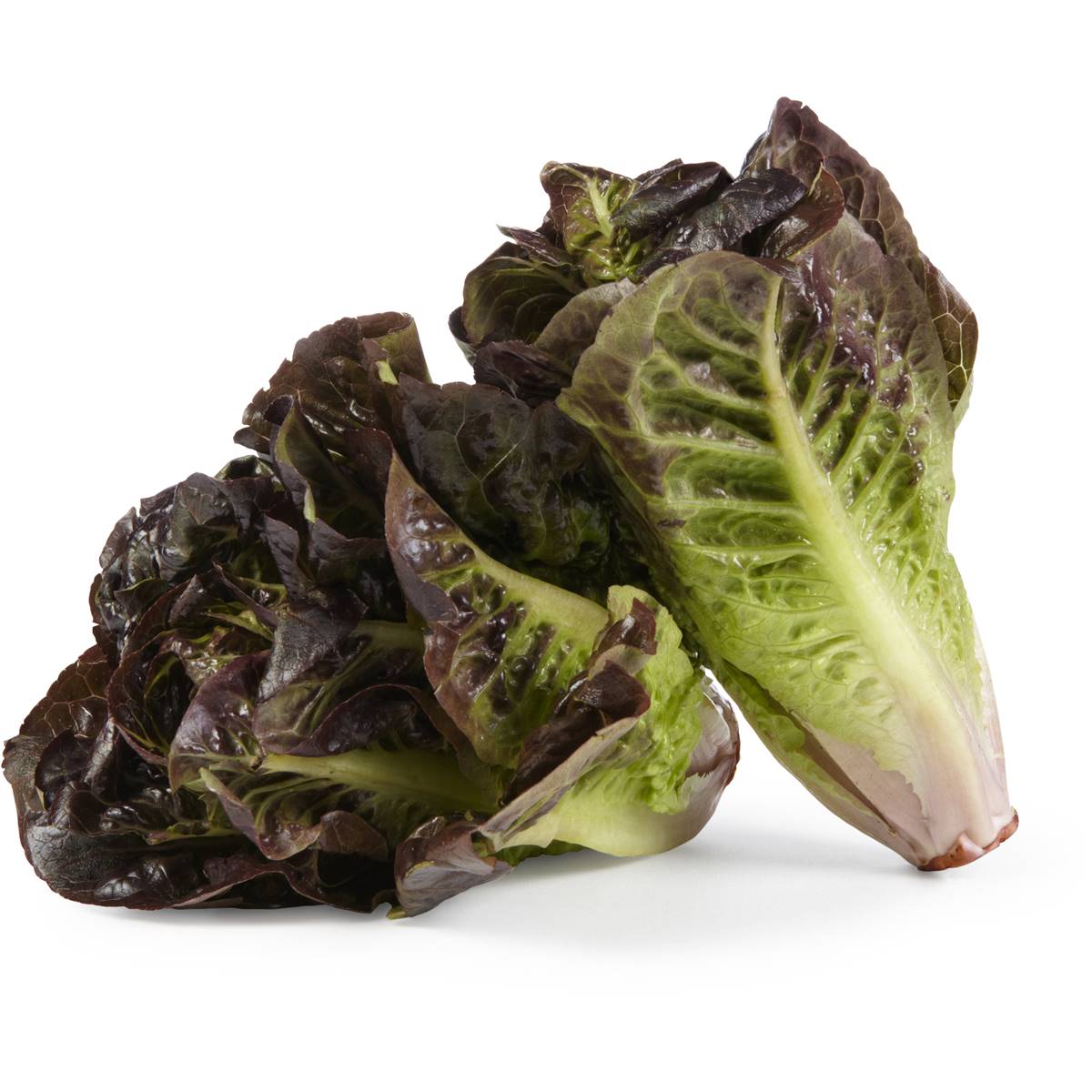 Lettuce Cos Hearts Red