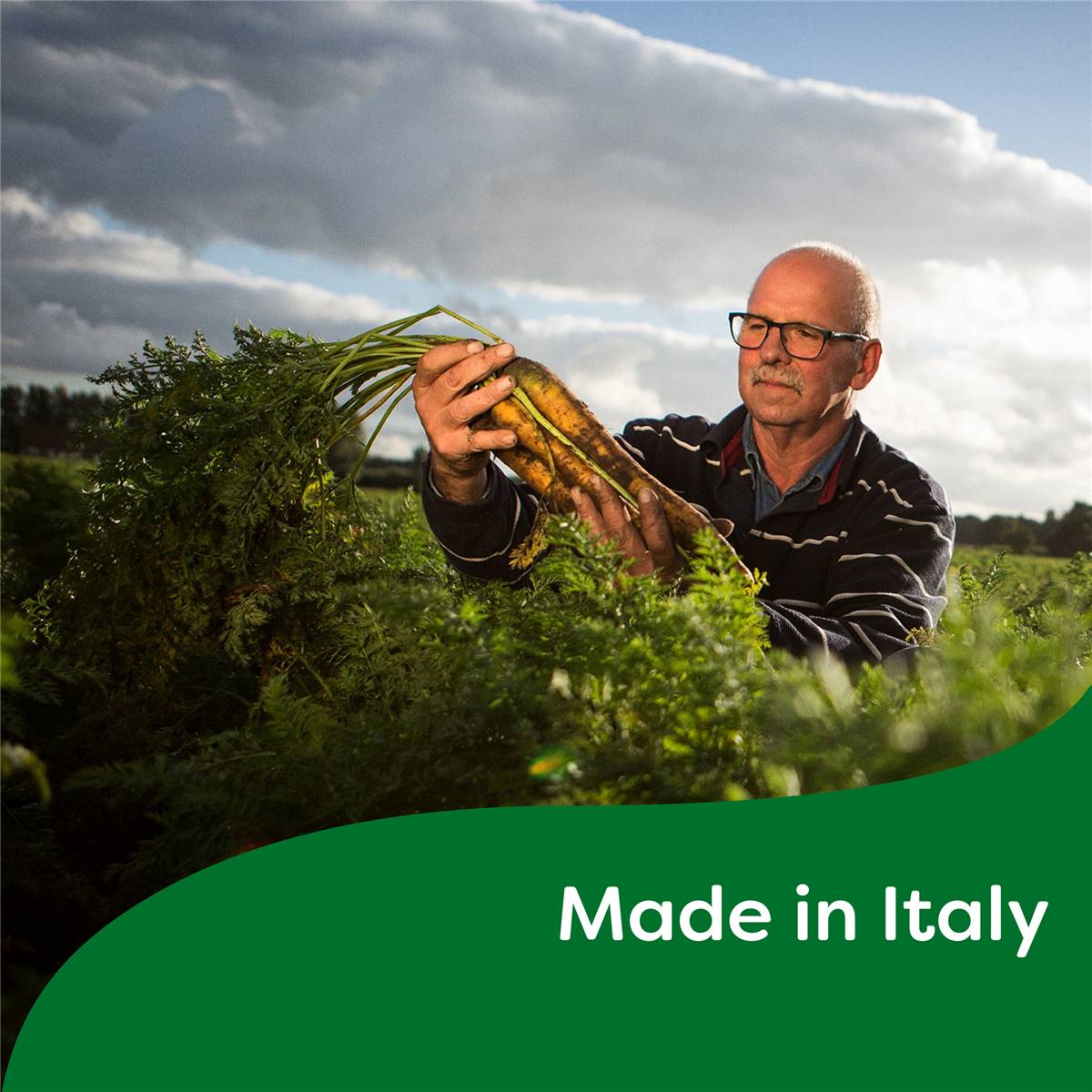 Continental Sensations Chicken Stock Pot 4 X 28 G Woolworths