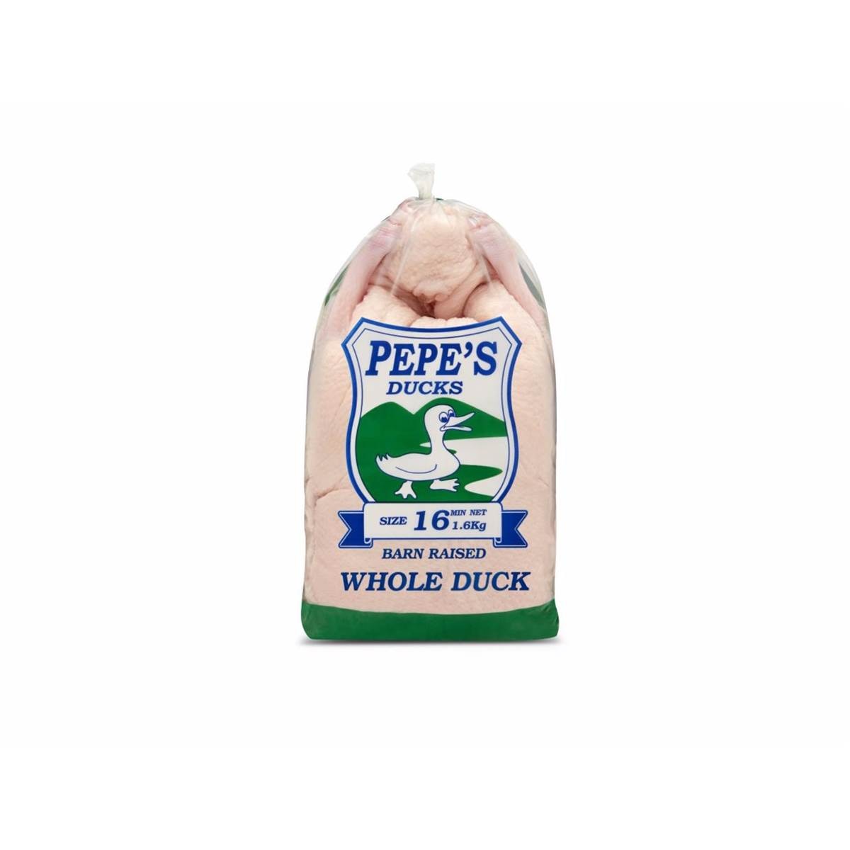 Pepe's Duck Sz 16