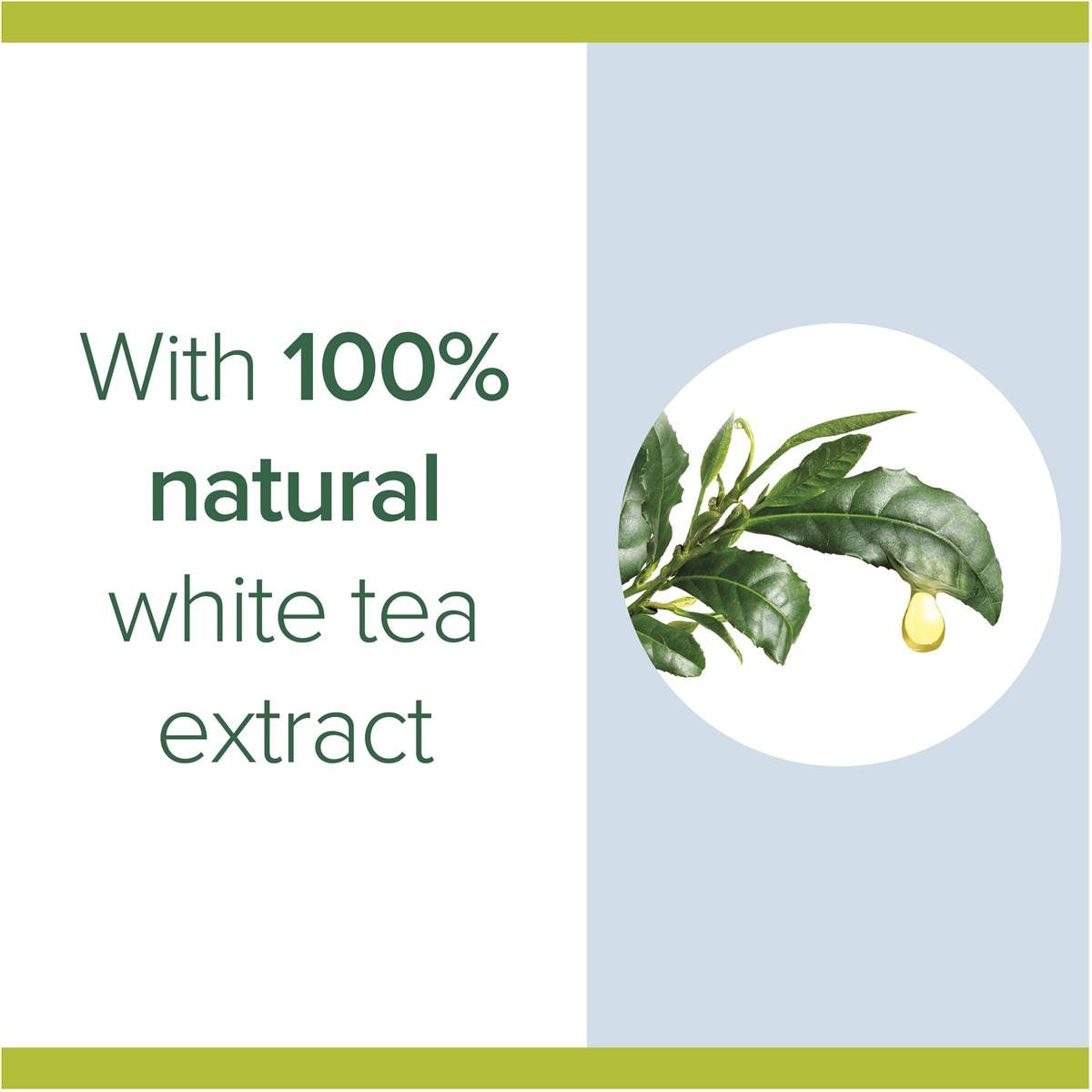 Palmolive Liquid Hand Wash Antibacterial White Tea Refill 1l Woolworths