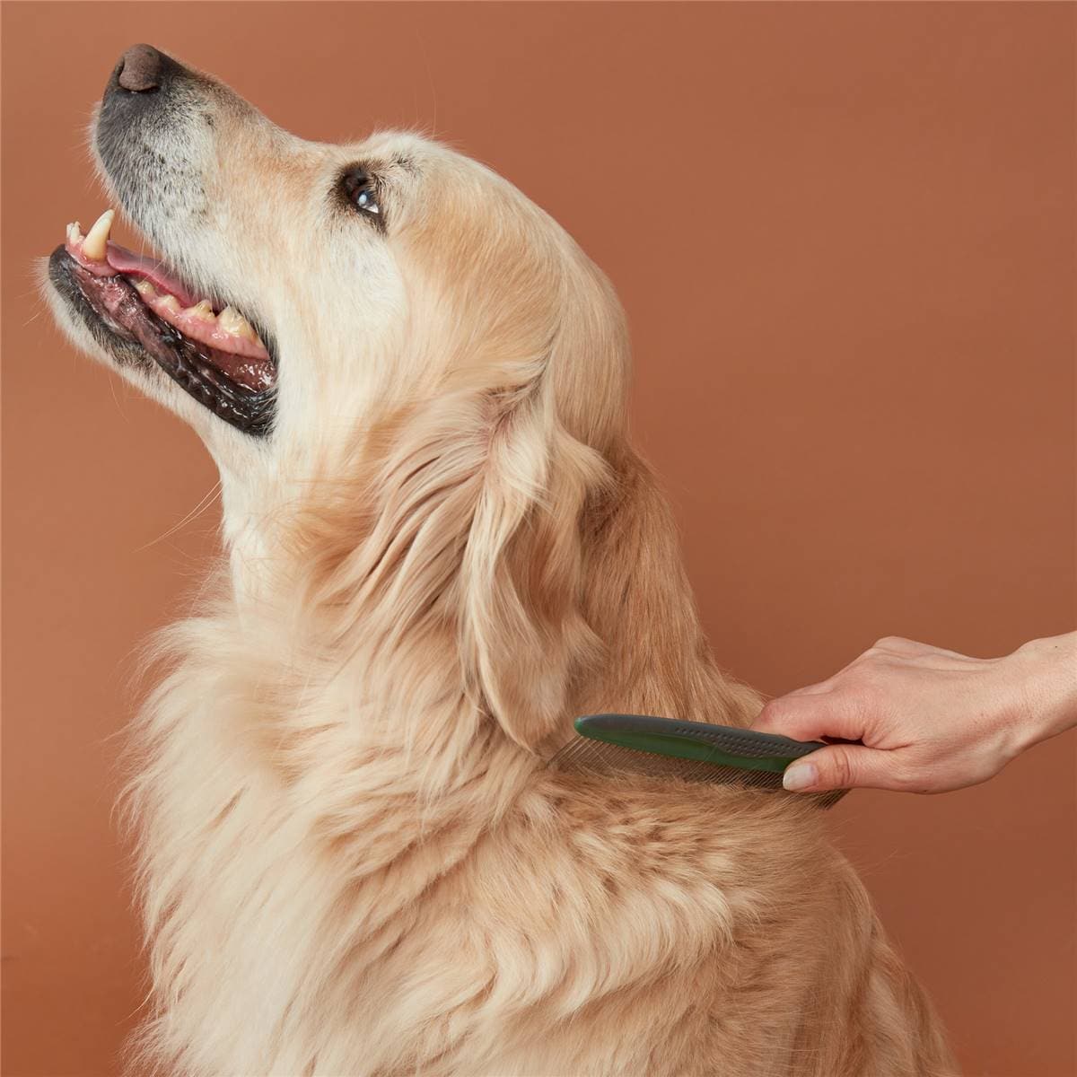 Oscar & Friends Pet Comb Wide Tooth Each Woolworths