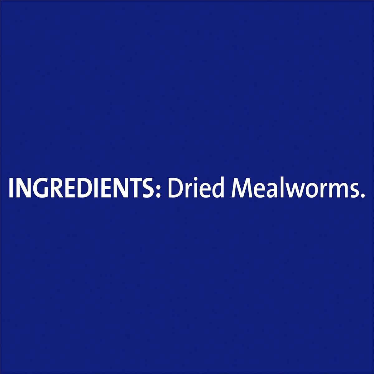 Harmony Wild Bird Dried Mealworms 120g Woolworths