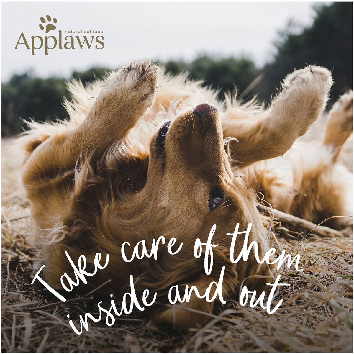 Applaws Duck & Venison Dry Dog Food 2.7kg Woolworths