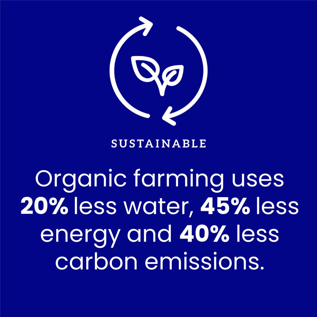 Barambah Organics Cottage Cheese 200g Woolworths