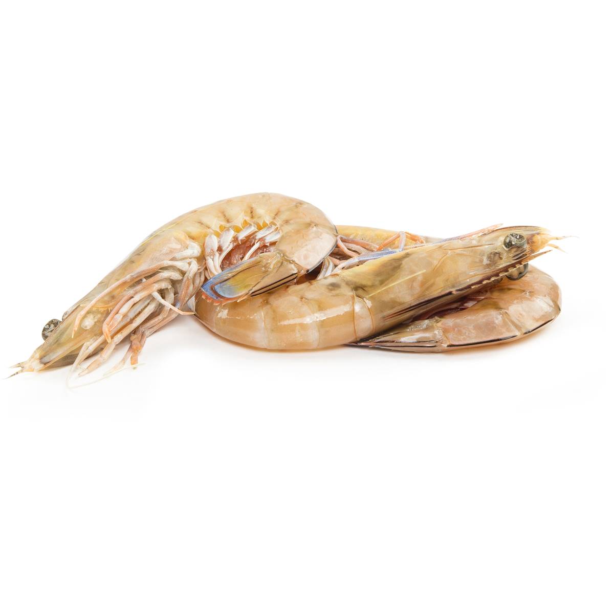 Woolworths Extra Large Green King Prawns Thawed