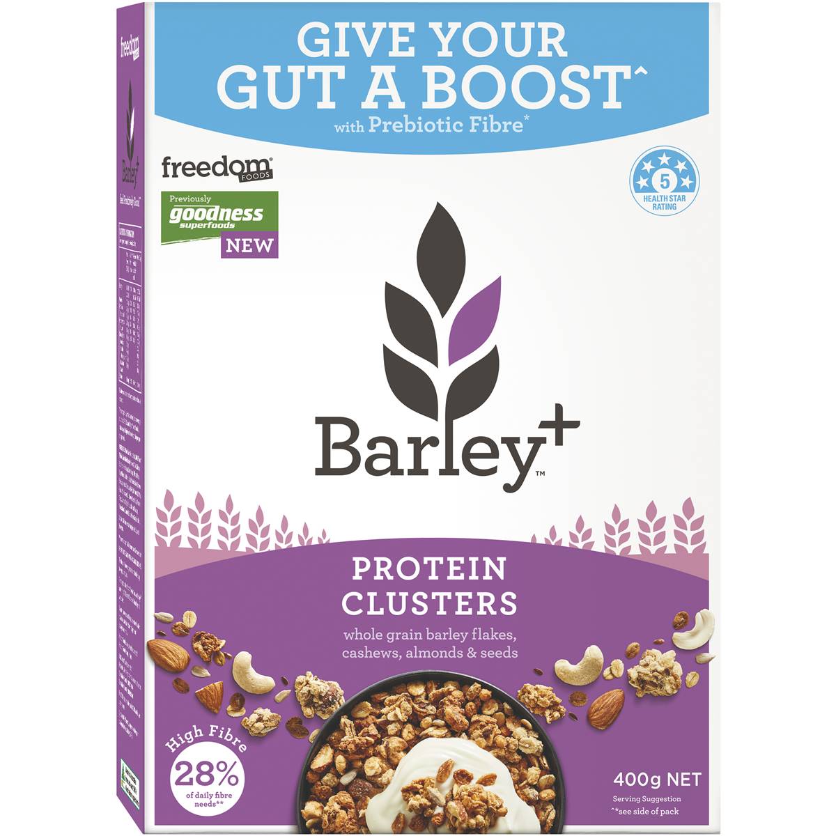 oats protein content per 100g