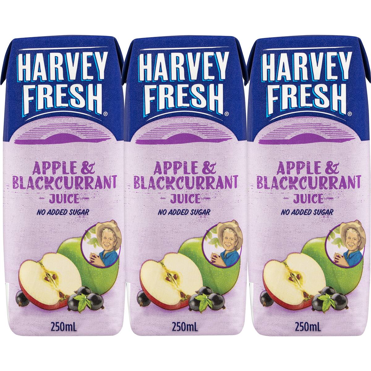 Harvey Fresh Apple & Blackcurrant Juice 250ml X 6 Pack Woolworths