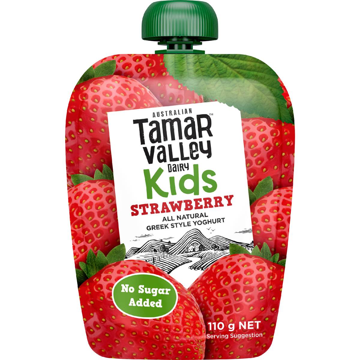 Tamar Valley Dairy Kids Greek Yoghurt Pouch Strawberry 110g Woolworths