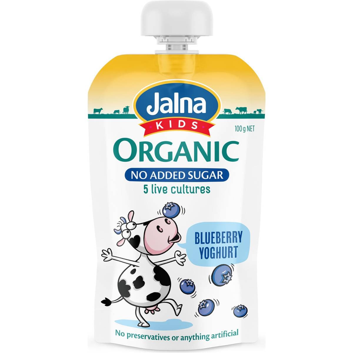 Jalna Kids No Added Sugar Yoghurt Blueberry 100g Woolworths