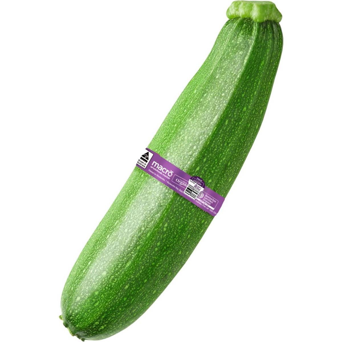 Organic Zucchini Green Loose