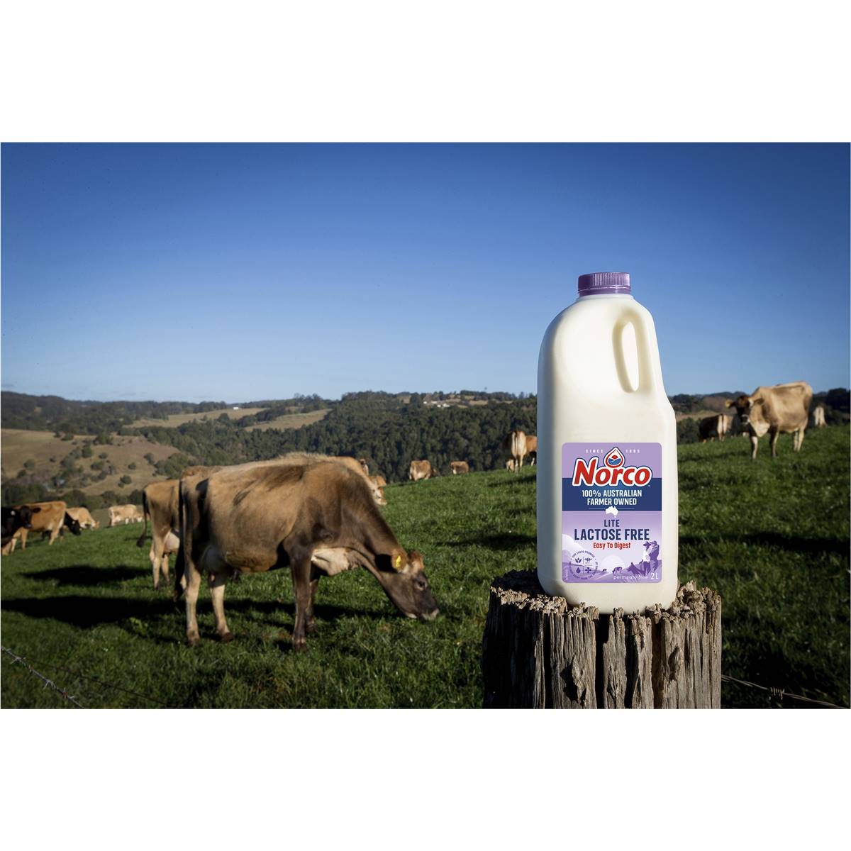 Norco Lactose Free Lite Milk 2l Woolworths