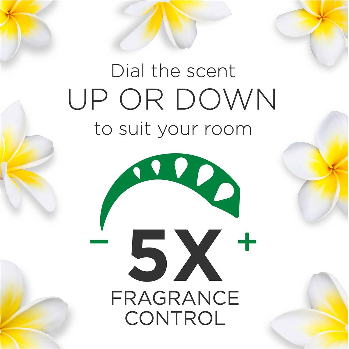 Air Wick Electric Twin Refill Frangipani 2 Pack 19ml Woolworths