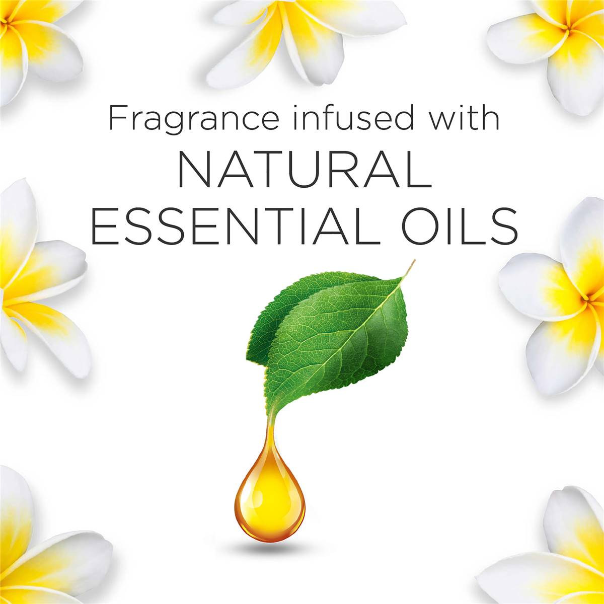 Air Wick Electric Twin Refill Frangipani 2 Pack 19ml Woolworths