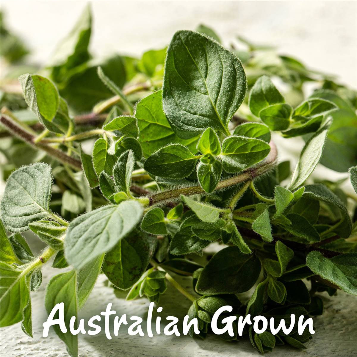 Gourmet Garden Oregano Lightly Dried 5g Woolworths