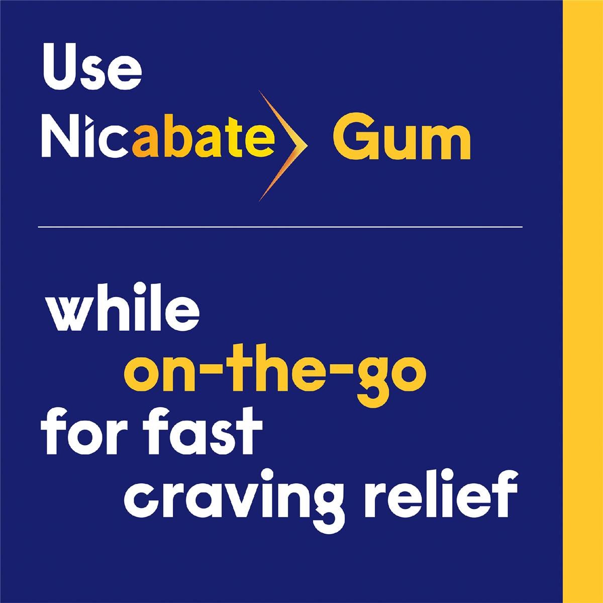 Nicabate Quit Smoking Chewing Gum Regular Strength 2mg Nicotine 30 Pack