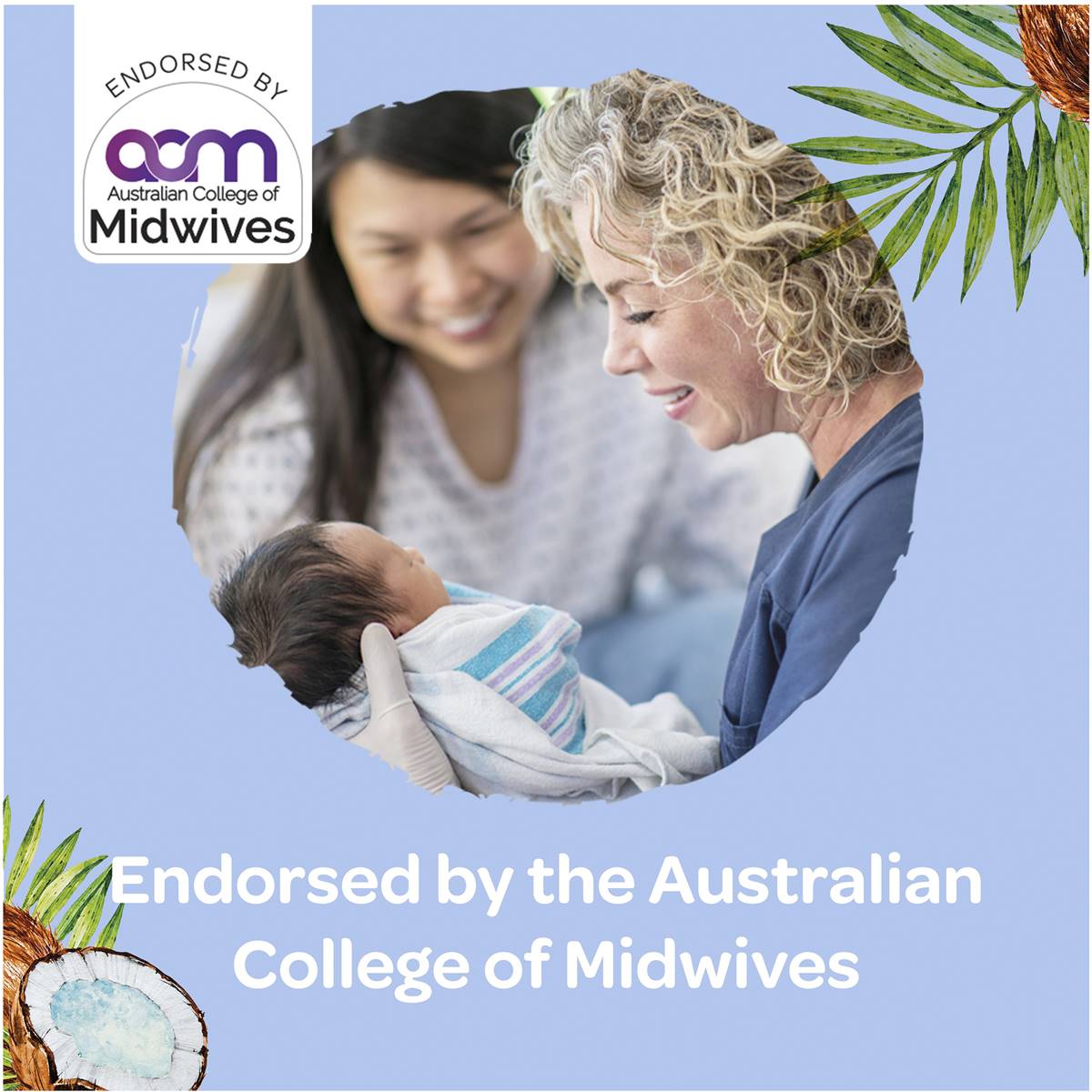 Huggies Thick Baby Wipes Coconut Oil 240 Pack Woolworths