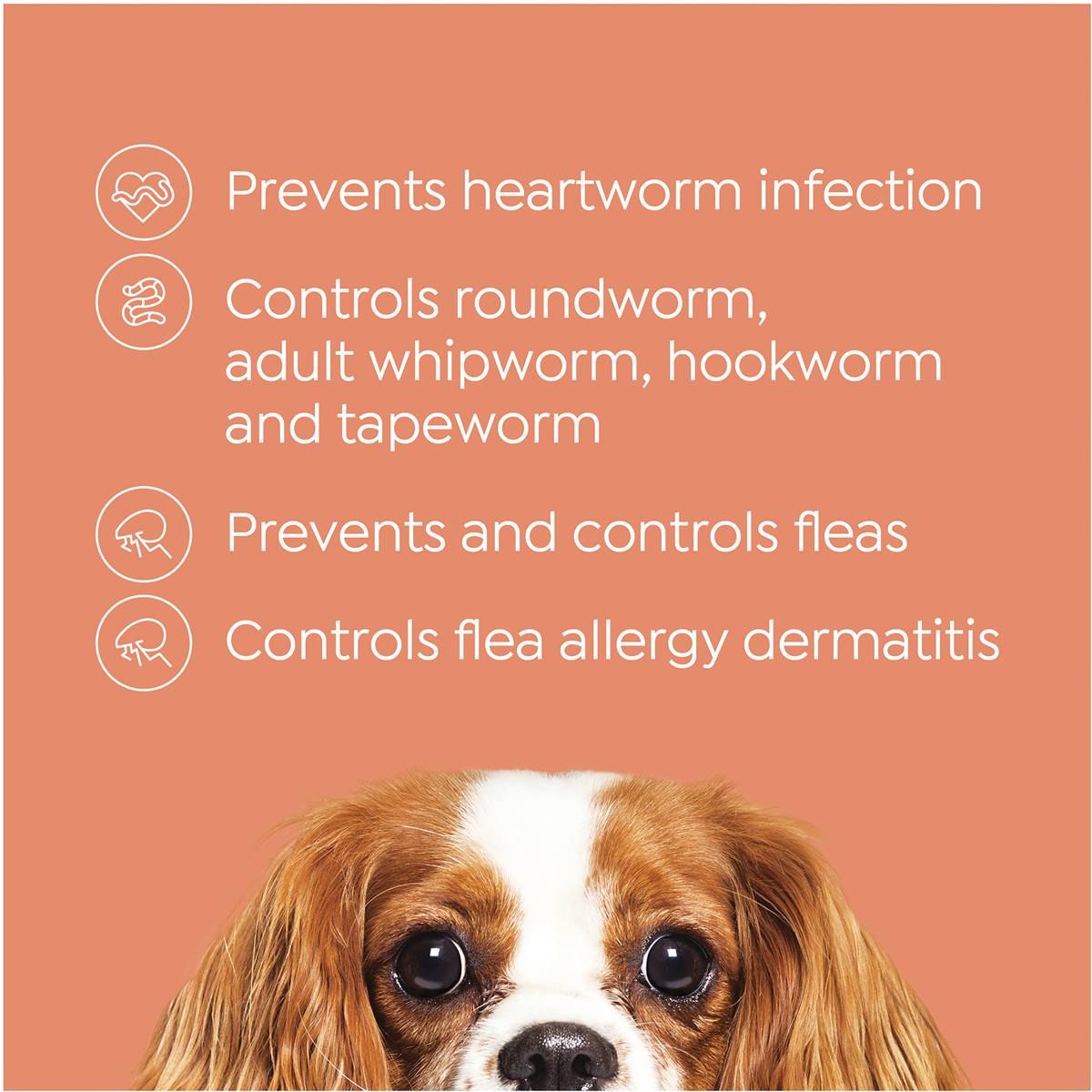 Total Care Heartwormer Allwormer & Flea Control Chew For Small Dog Each Woolworths