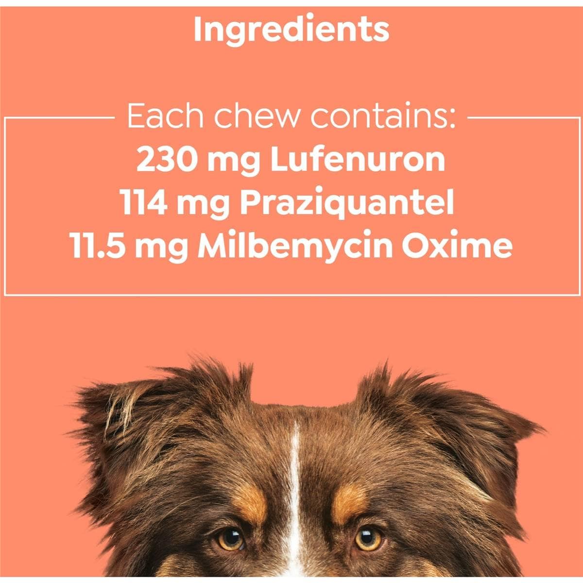 Total Care Heartwormer Allwormer & Flea Control Chew For Medium Dog Each Woolworths