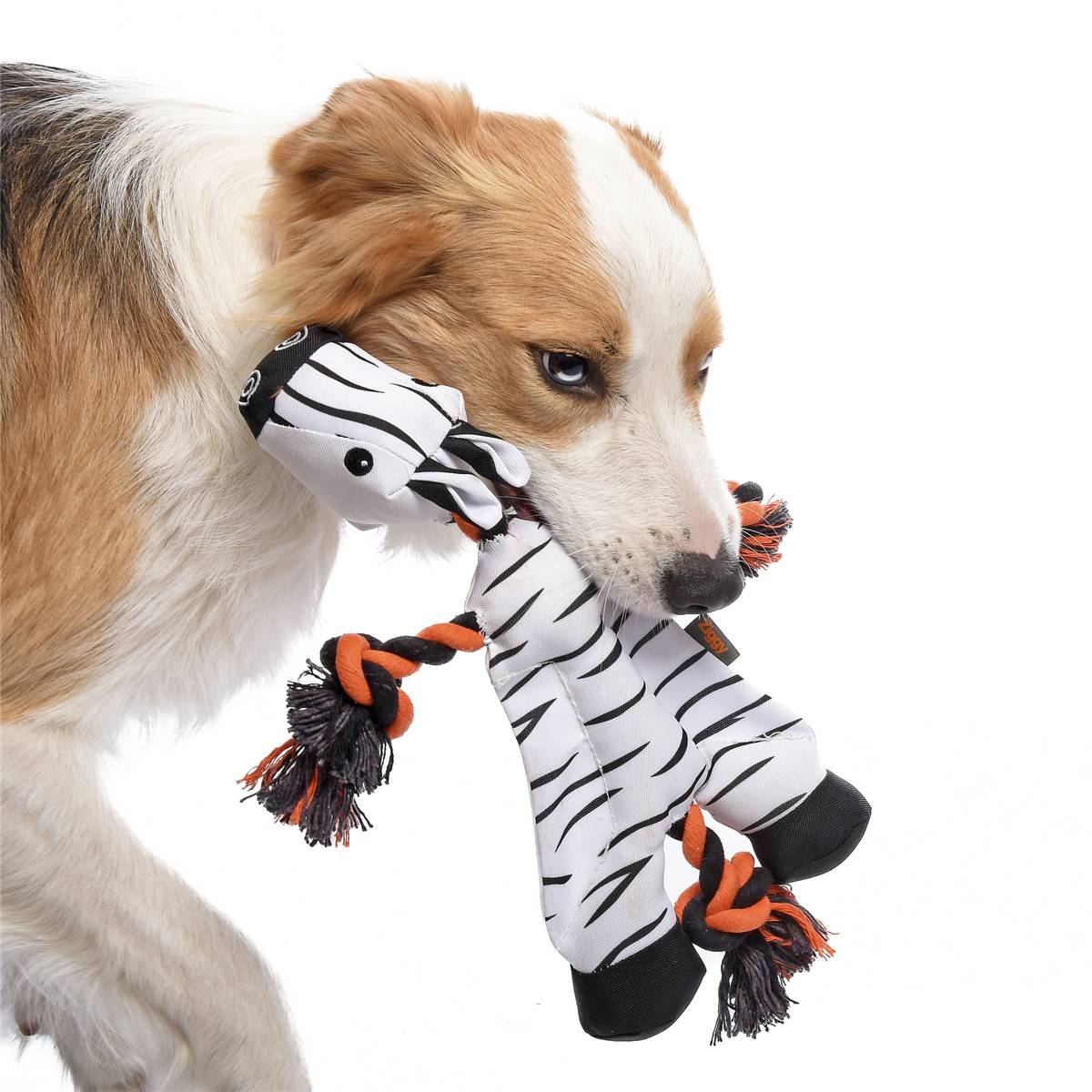 Rufus & Coco Jungle Buddies Dog Toy Each Woolworths