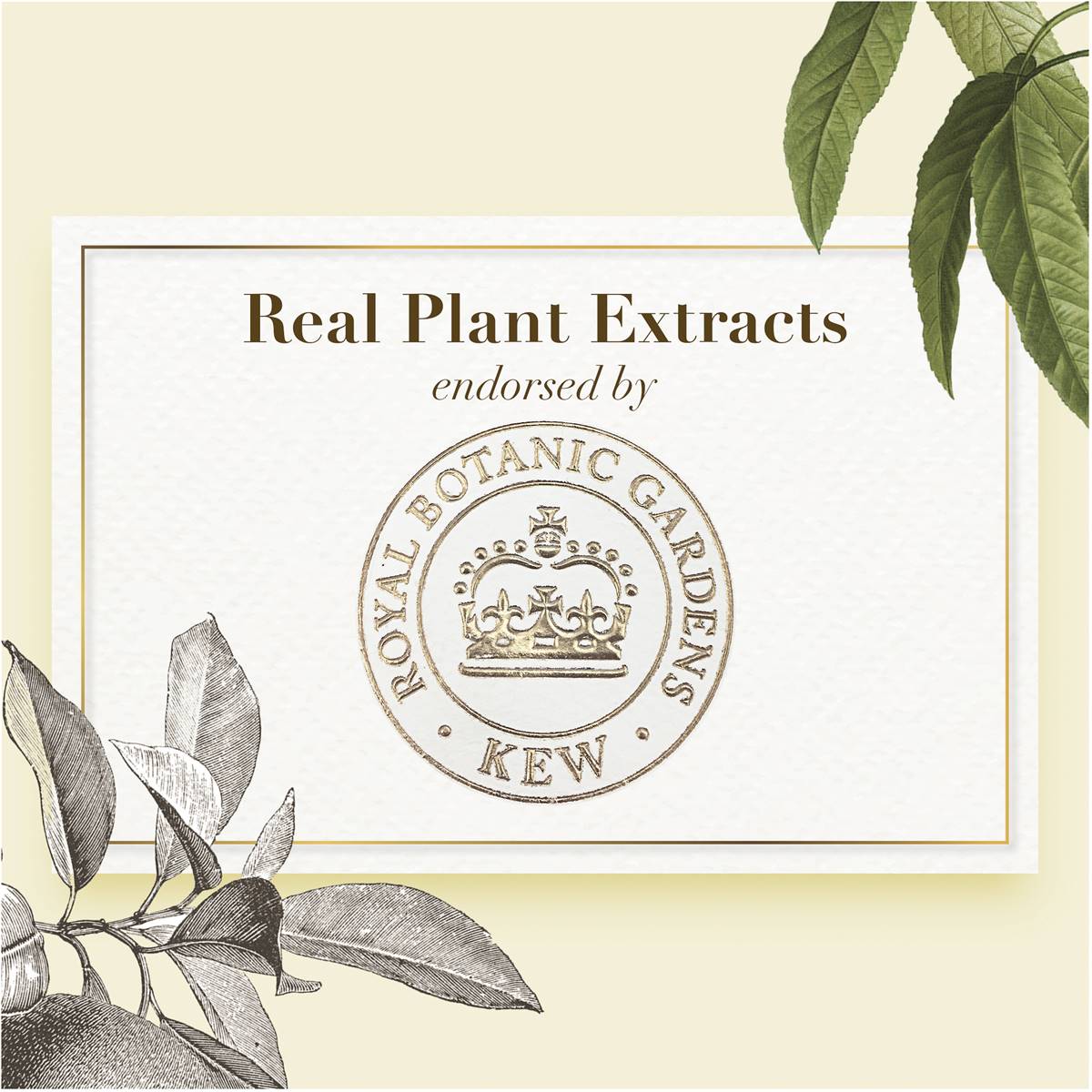 Herbal Essences Repair Argan Oil Conditioner 400ml Woolworths