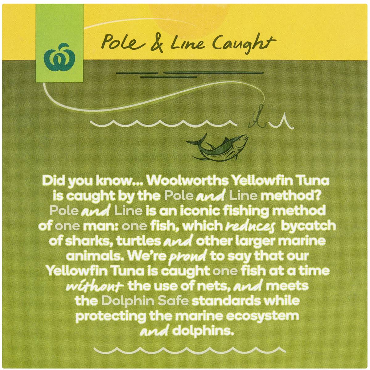 Woolworths Tuna And Rice Green Curry 190g Woolworths