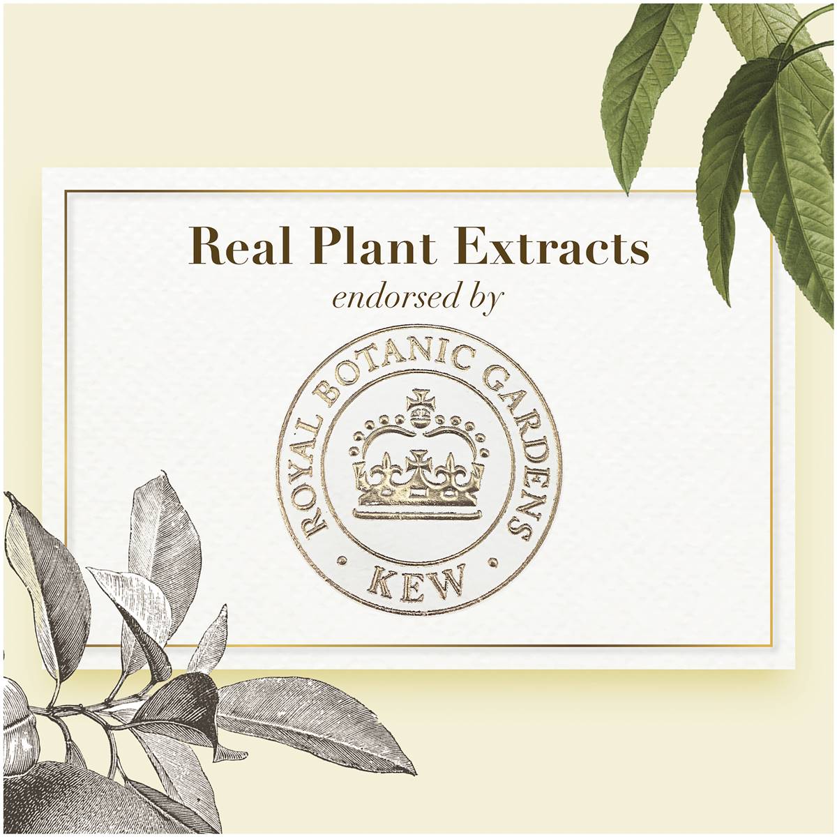 Herbal Essences Biorenew White Grapefruit & Mint Volumising Shampoo