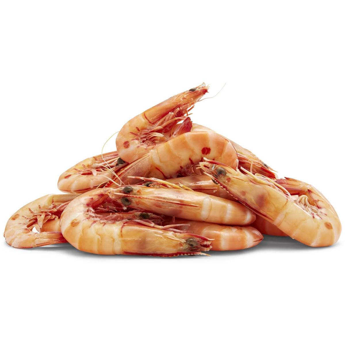 Thawed Jumbo Redspot Prawns