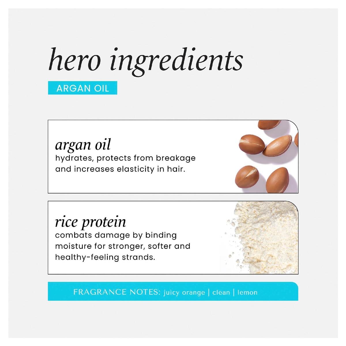 Hask Argan Oil Repairing Deep Conditioner 50g Woolworths