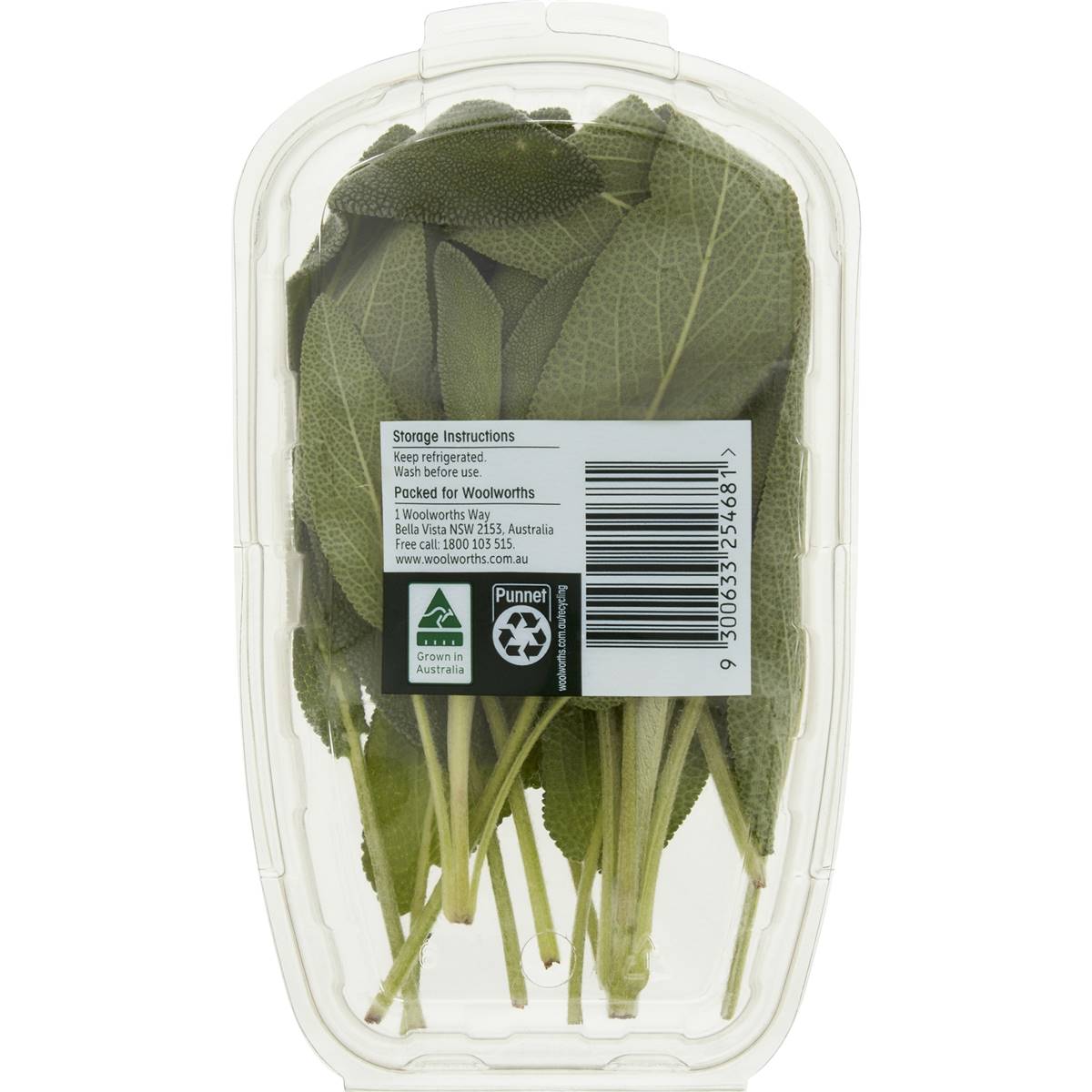 Woolworths Sage Fresh Herb 10g Woolworths