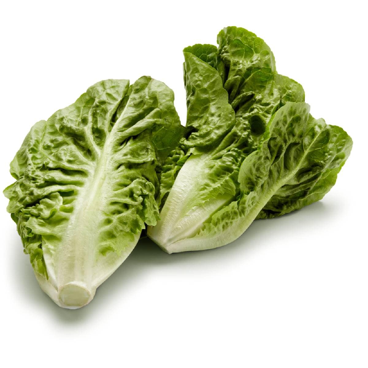 Lettuce Cos Hearts Combo 2 Pack Woolworths