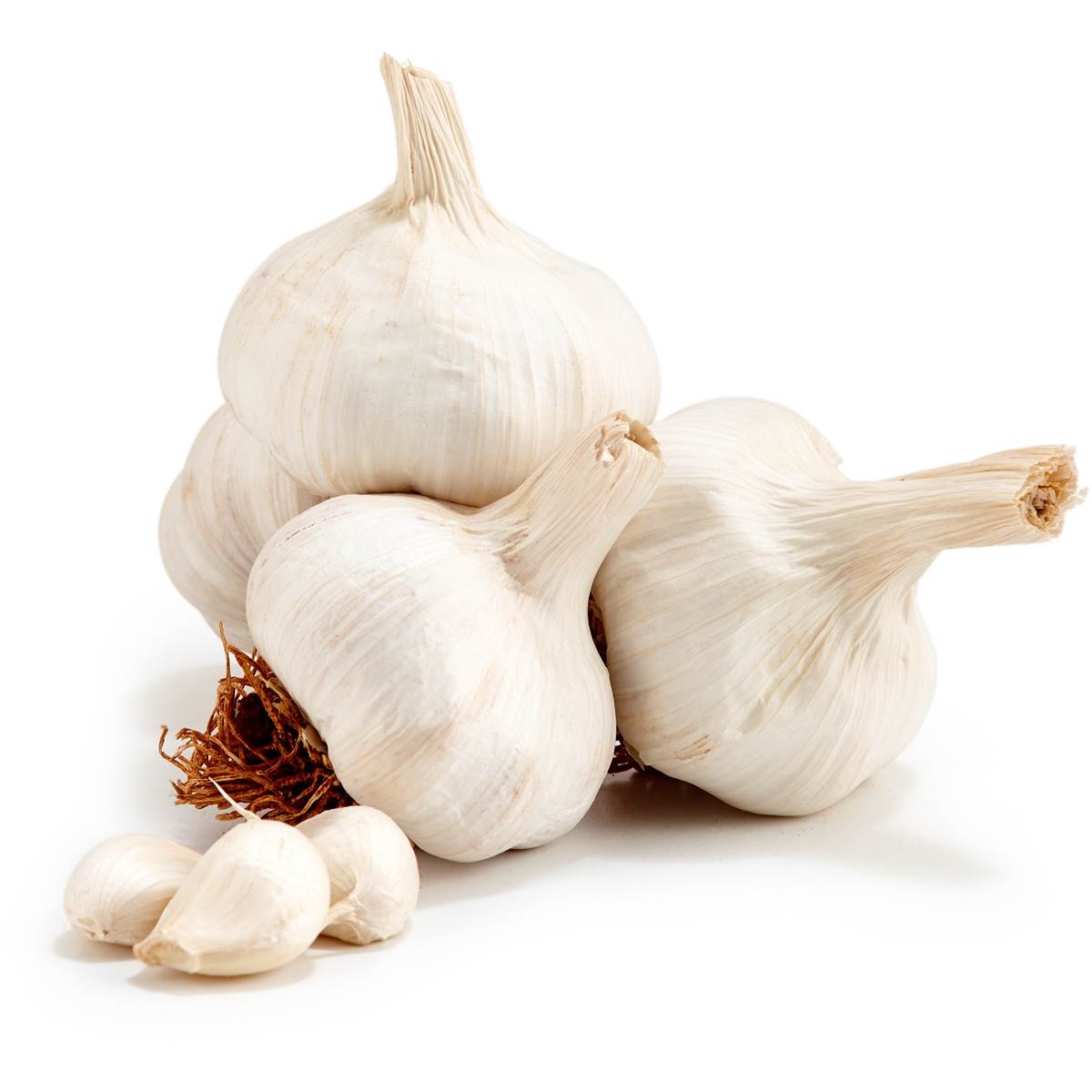 Image result for Garlic