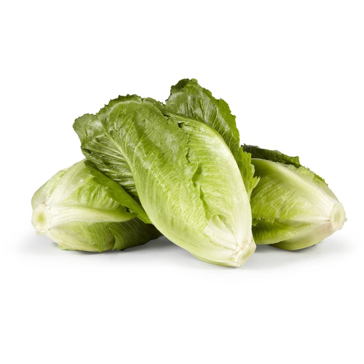 Select Sweet Crunch Lettuce Each Woolworths