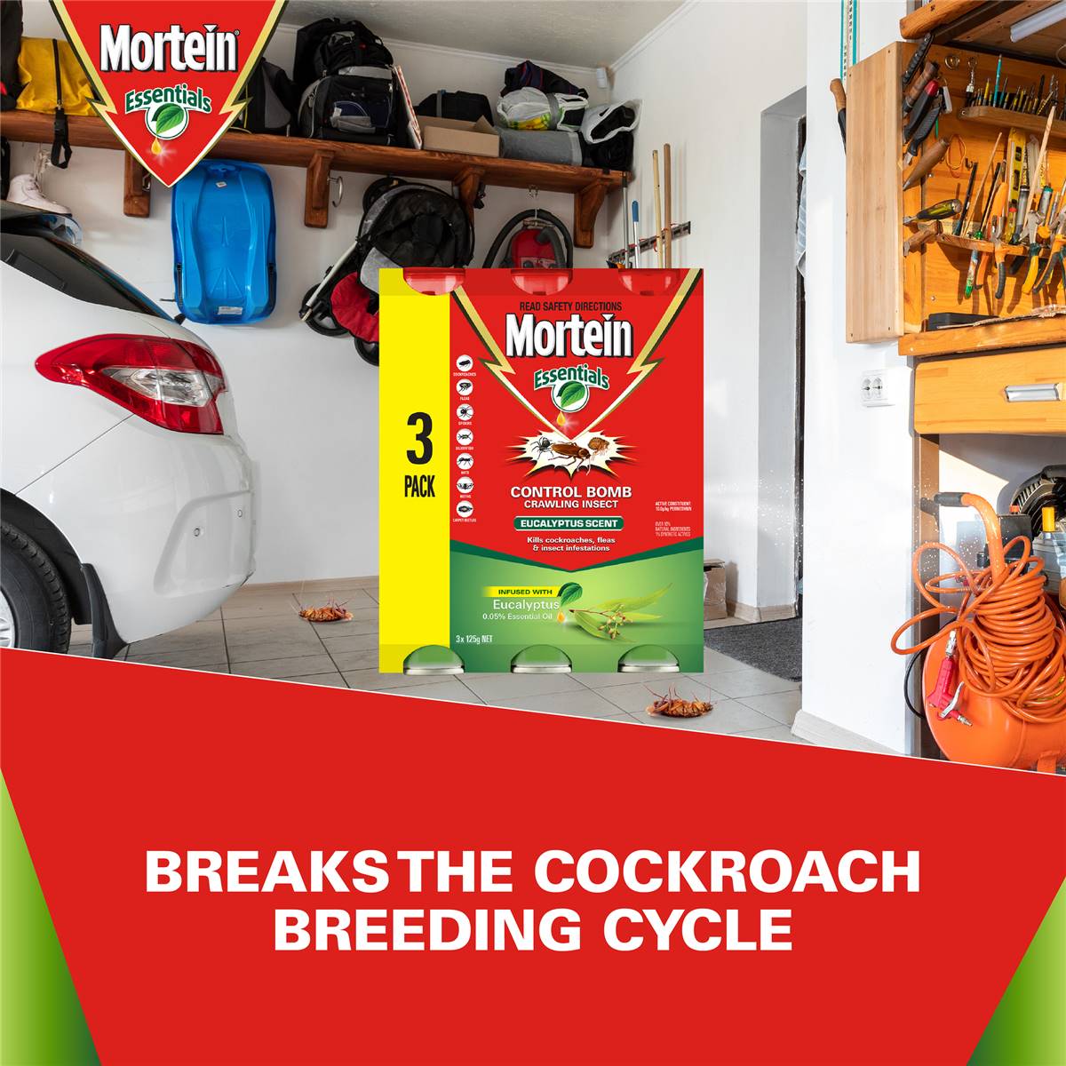 Mortein Essentials Control Bomb Crawling Insect Eucalpytus 3x125g