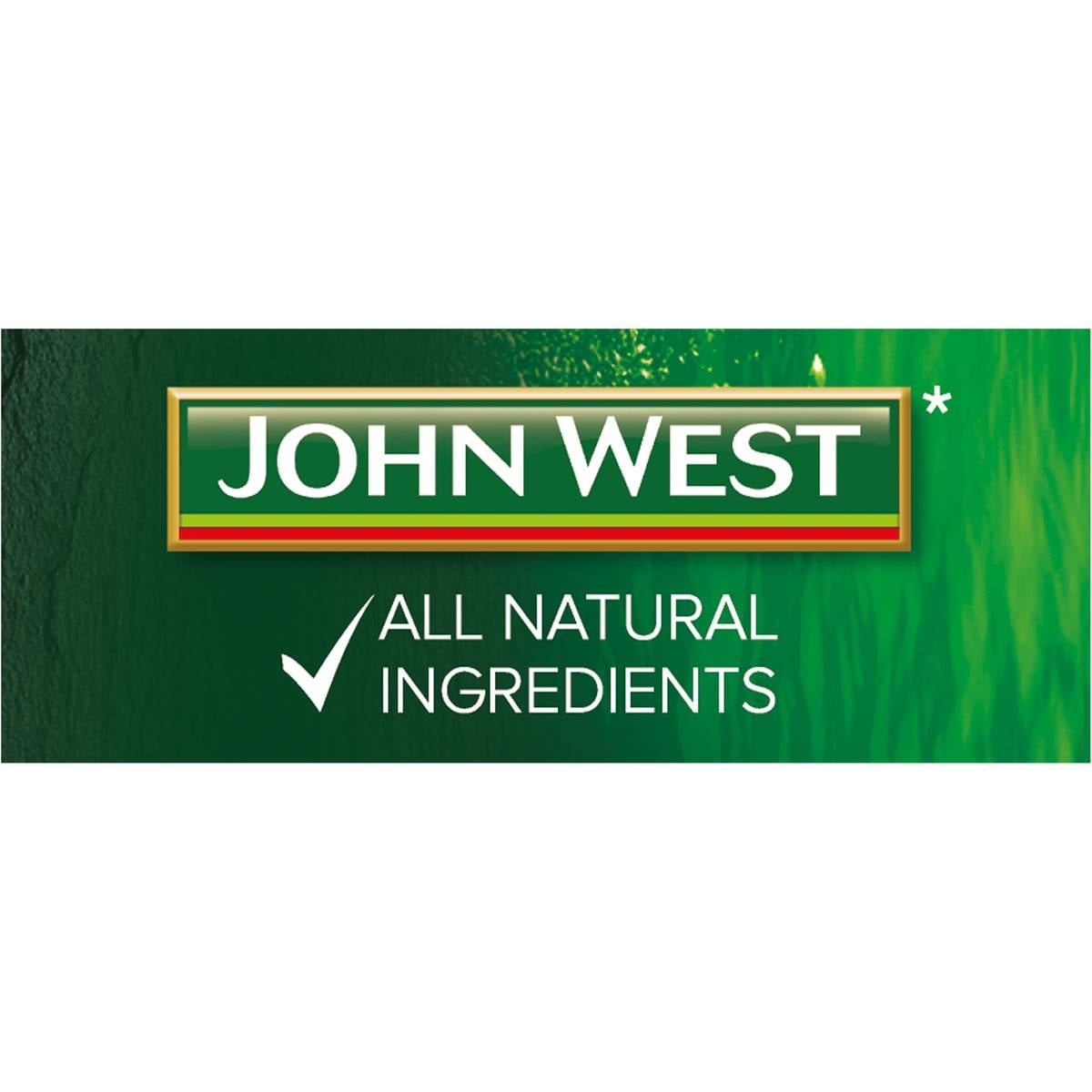 John West Anchovy Fillets In Olive Oil 45g Woolworths