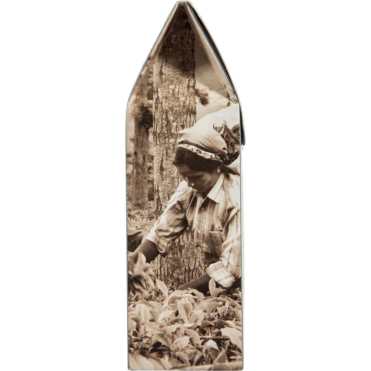 Woolworths Gold Pyramid Tea Bags Earl Grey 16 Pack Woolworths