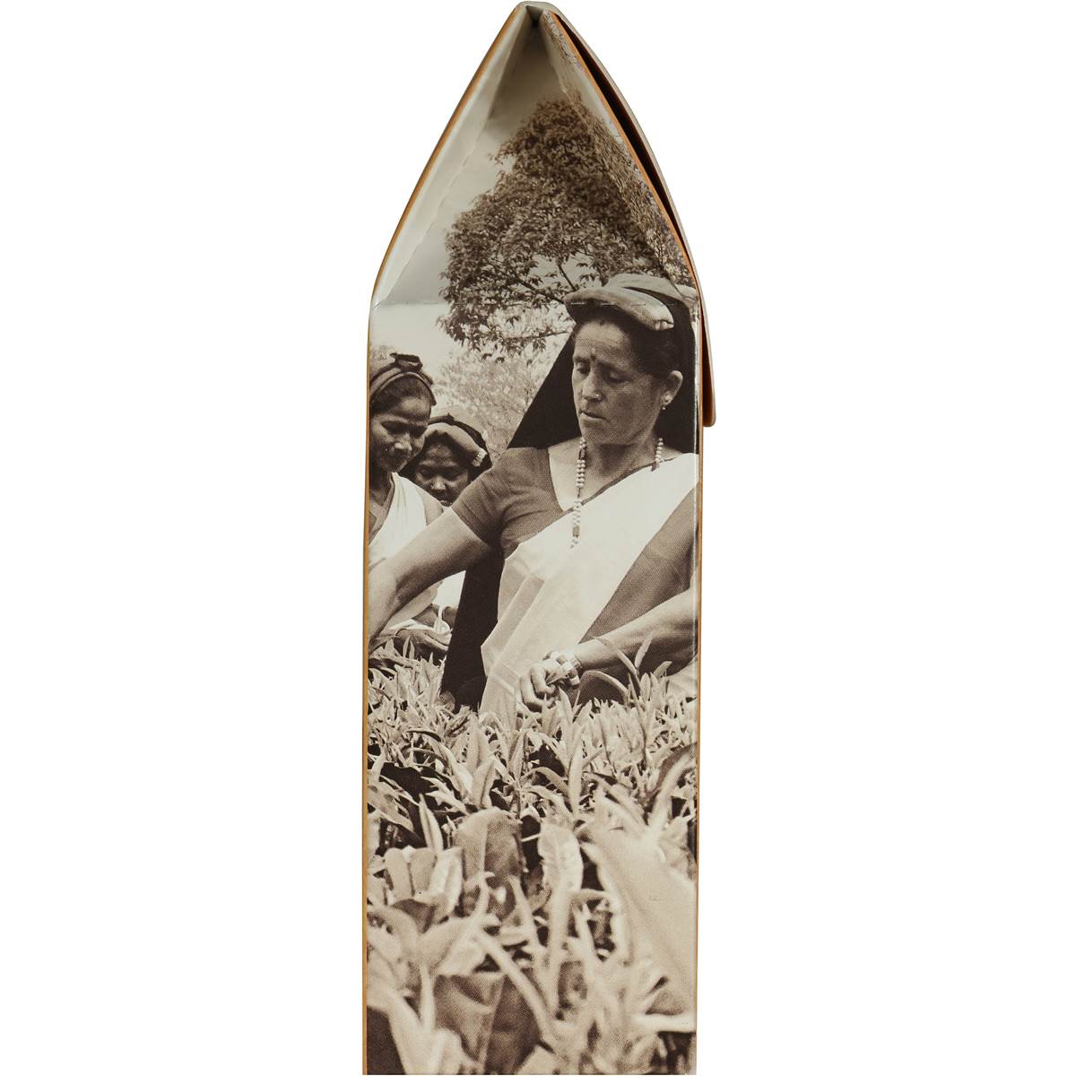 Woolworths Gold Pyramid Tea Bags Masala Chai 16 Pack Woolworths