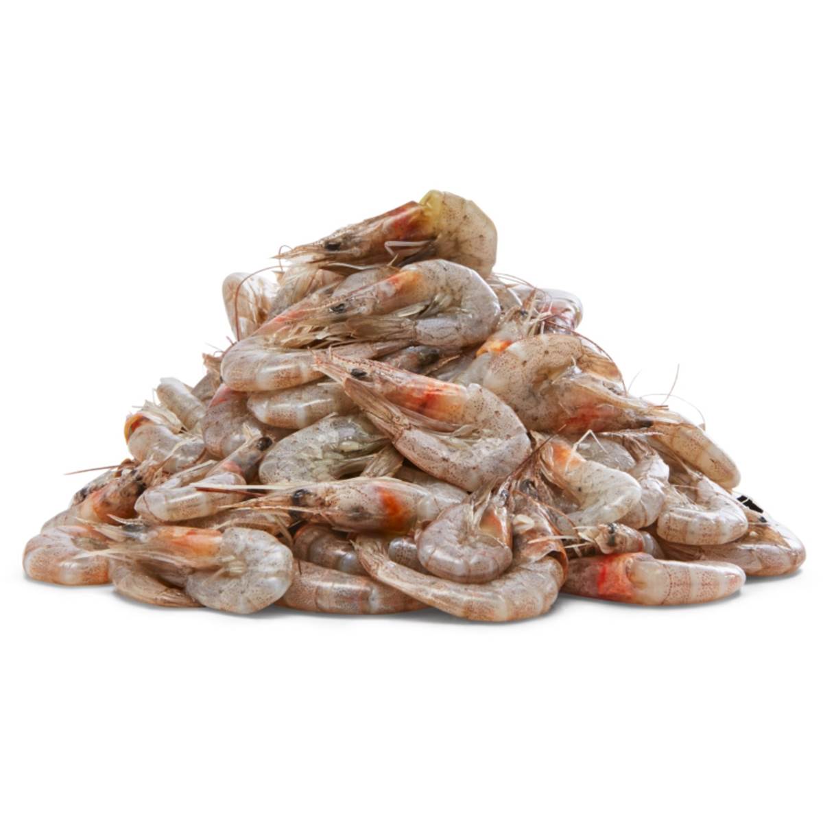 School Green Prawn