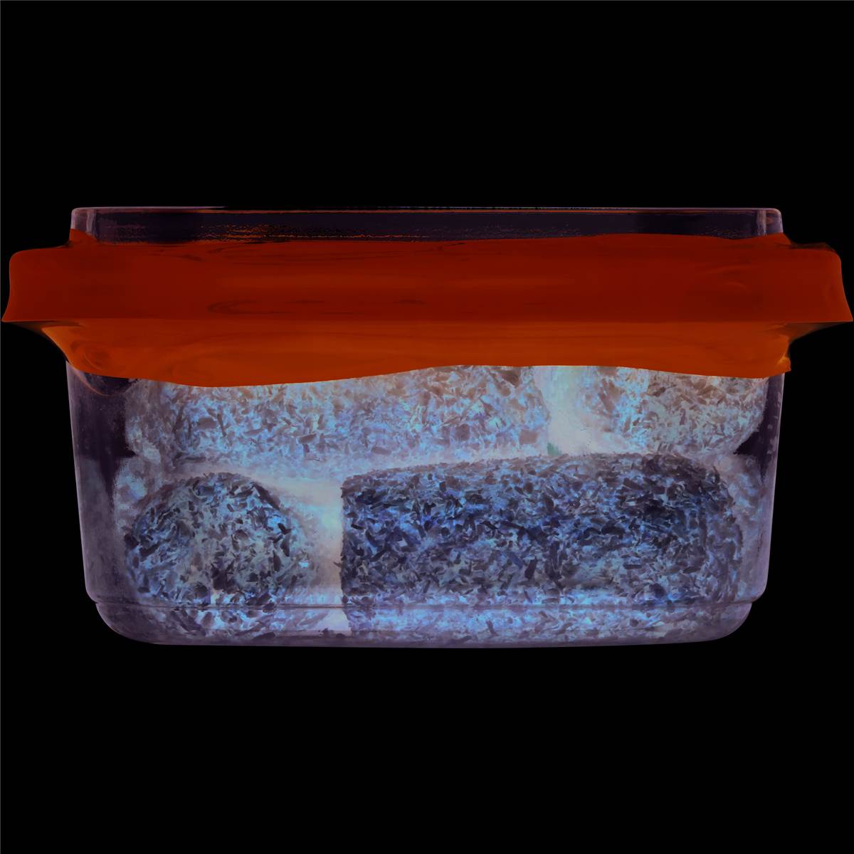 Woolworths Dried Fruit Date & Coconut Rolls 225g Woolworths