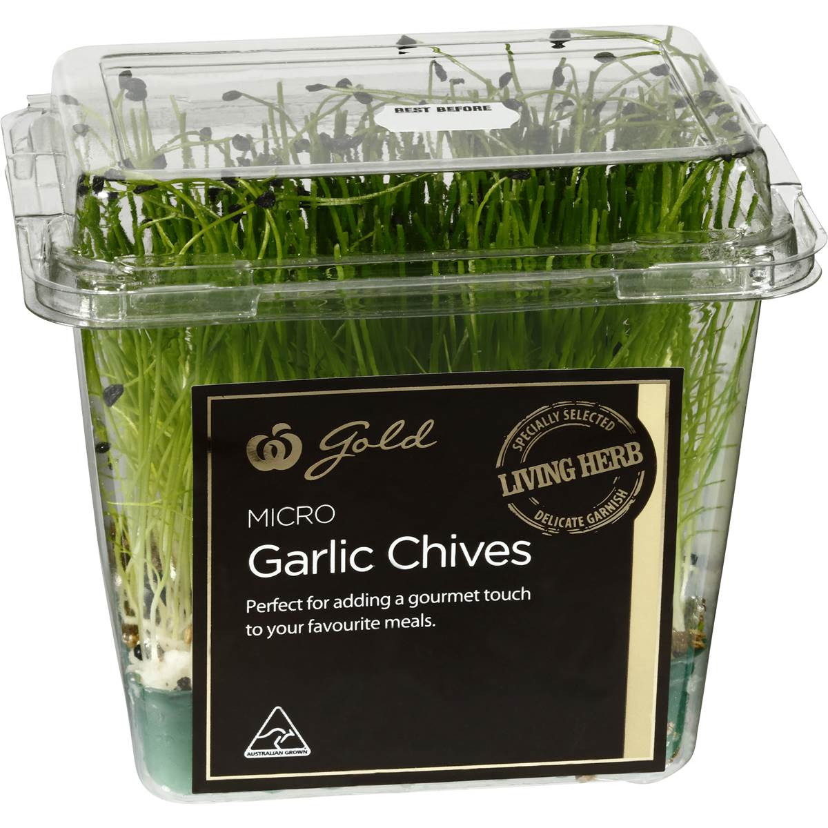 Herb Living Micro Garlic Chives Woolworths