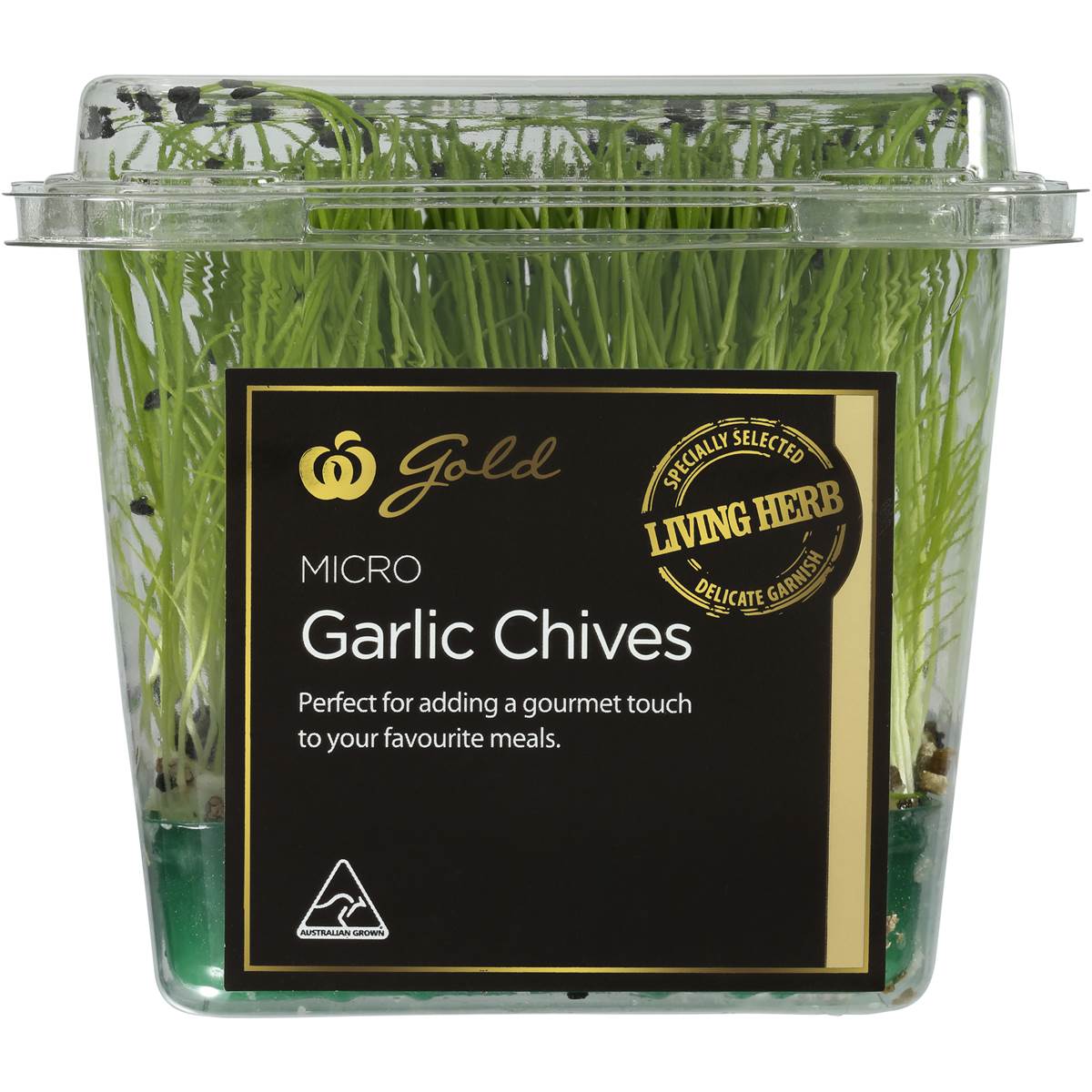 Herb Living Micro Garlic Chives Woolworths