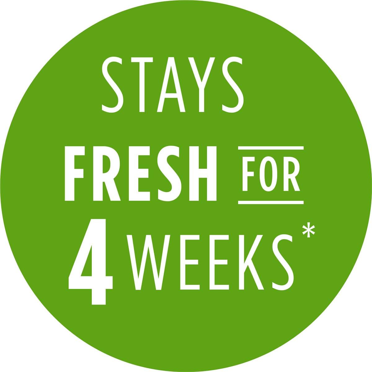 Gourmet Garden Coriander Lightly Dried 8g Sachet Woolworths