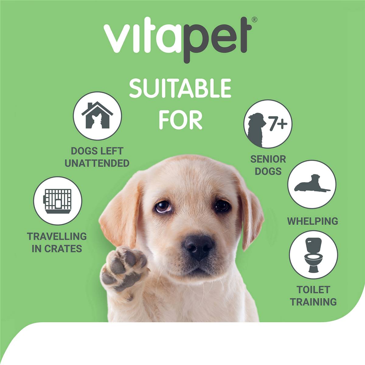 Vitapet Pet Training Pee Pads 7 Pack Woolworths