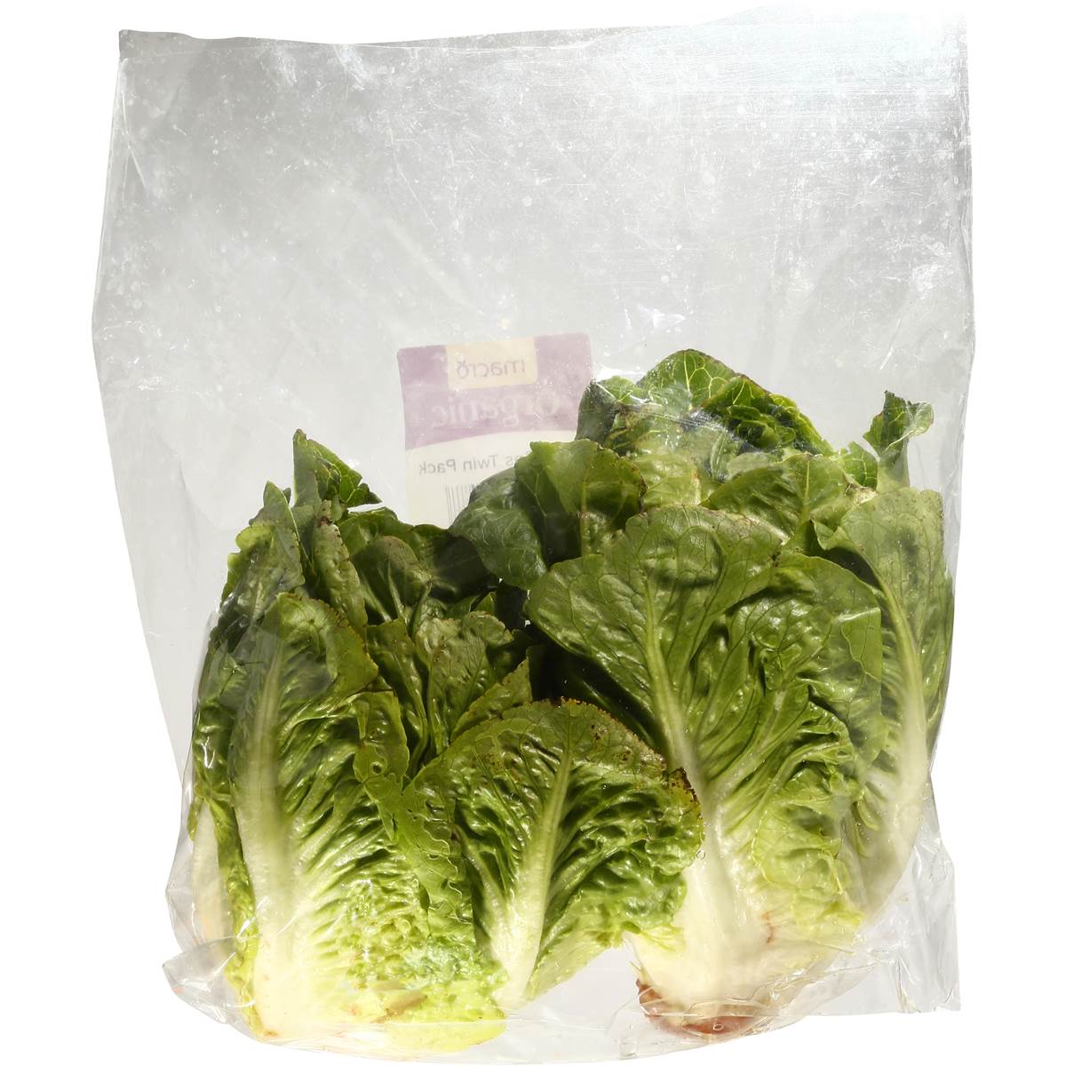 Macro Fresh Lettuce Baby Cos Organic Pack Each | Woolworths