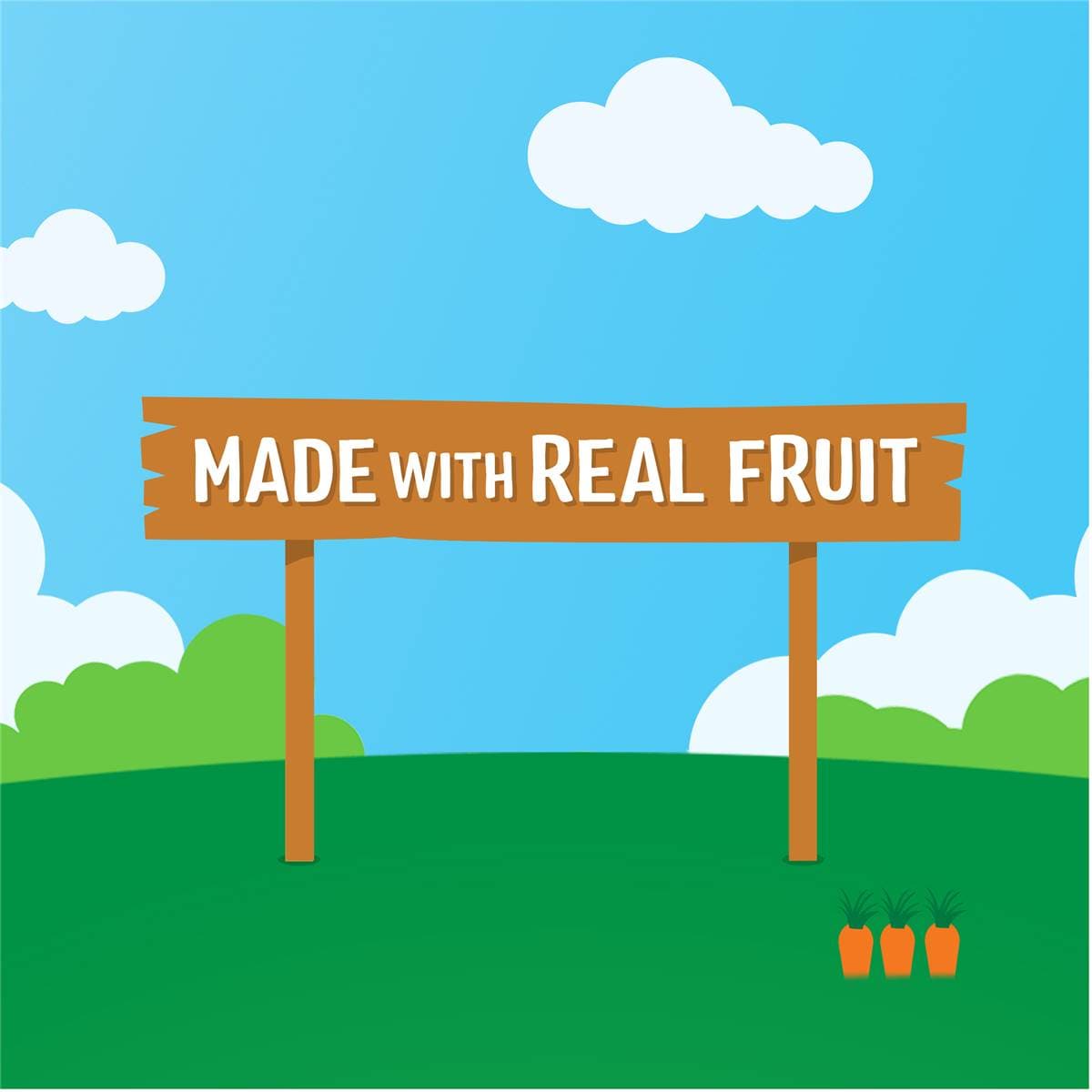 Rafferty's Garden Baby Food Blueberry, Banana & Apple Snack Bars 12