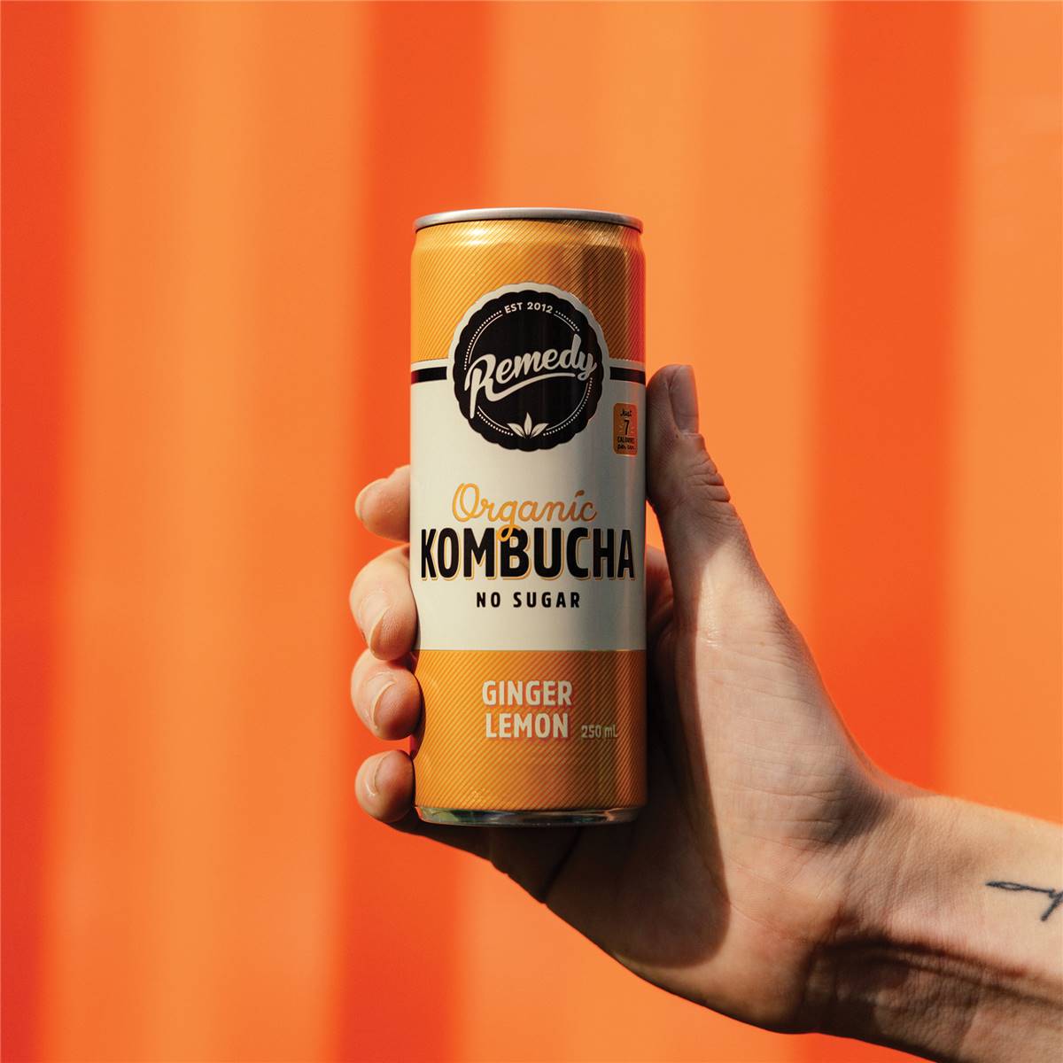 Remedy Lemon Ginger Kombucha 4 Pack Woolworths