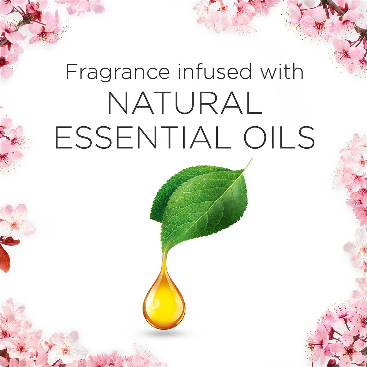 Air Wick Pure Cherry Blossom Plugin Diffuser 19ml Woolworths